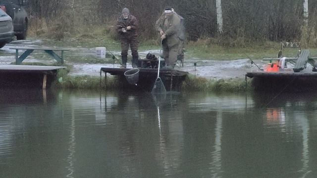 Светлые Горы Форель 22.11.2025г. смотреть онлайн