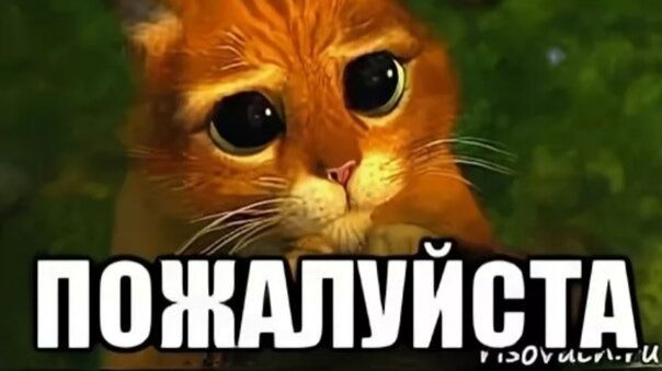 ПОЖАЛУЙСТА