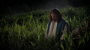 Молитва Иисуса в Гефсиманском саду/Моление о чаше в Гефсиманском саду/Предательство Иуды/Библия