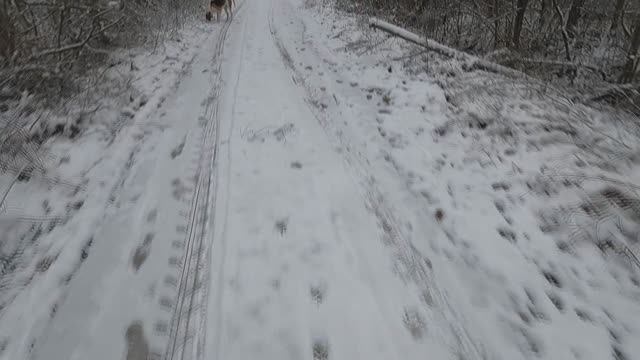 Охота с Добычем 21.11.2025. смотреть онлайн