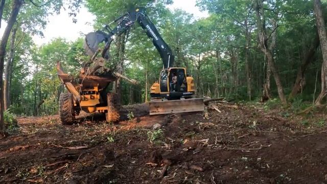 Вырубка небольших деревьев