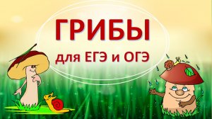 Грибы. Всё что нужно для ЕГЭ/ОГЭ