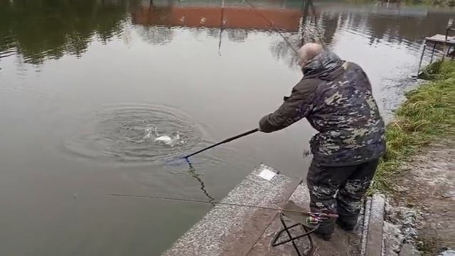 Светлые Горы Форель3 22.11.2025г. смотреть онлайн