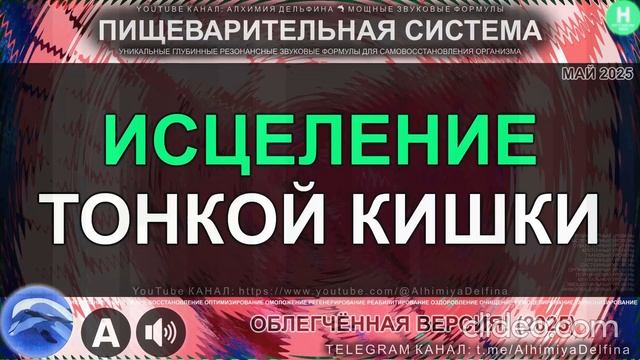 Восстановление Тонкой Кишки Мощное Пищеварение Здоровье ДПК, Тощей Кишки и Подвздошной Кишки смотреть онлайн