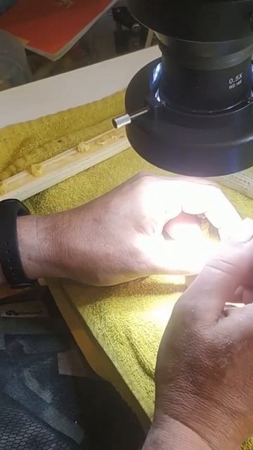 Метим маток Бакфаст смотреть онлайн