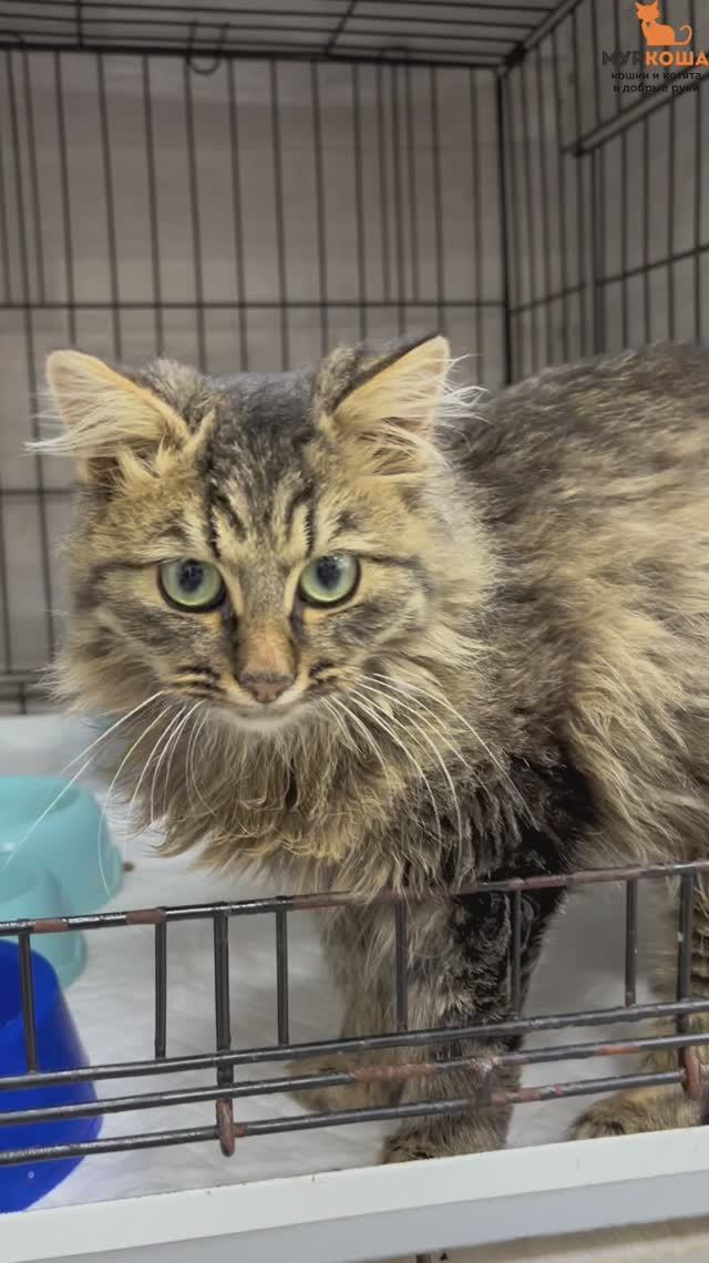 Богдаша (уже дома) смотреть онлайн