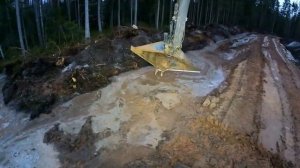 Кадры из работы в Лесу - Часть 10