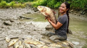 Куча рыбы в луже , для всей семьи хватит.