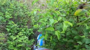 БЕСПРЕДЕЛ ПИТБАЙКЕРОВ ПО ГОРОДУ! УПАЛ ПРЯМО НА СКЛОНЕ ГОРЫ!