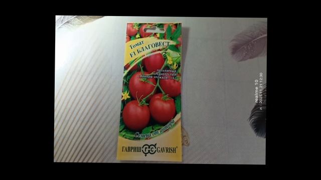Томат «Благовест F1» — проверенный ранний гибрид для теплиц смотреть онлайн