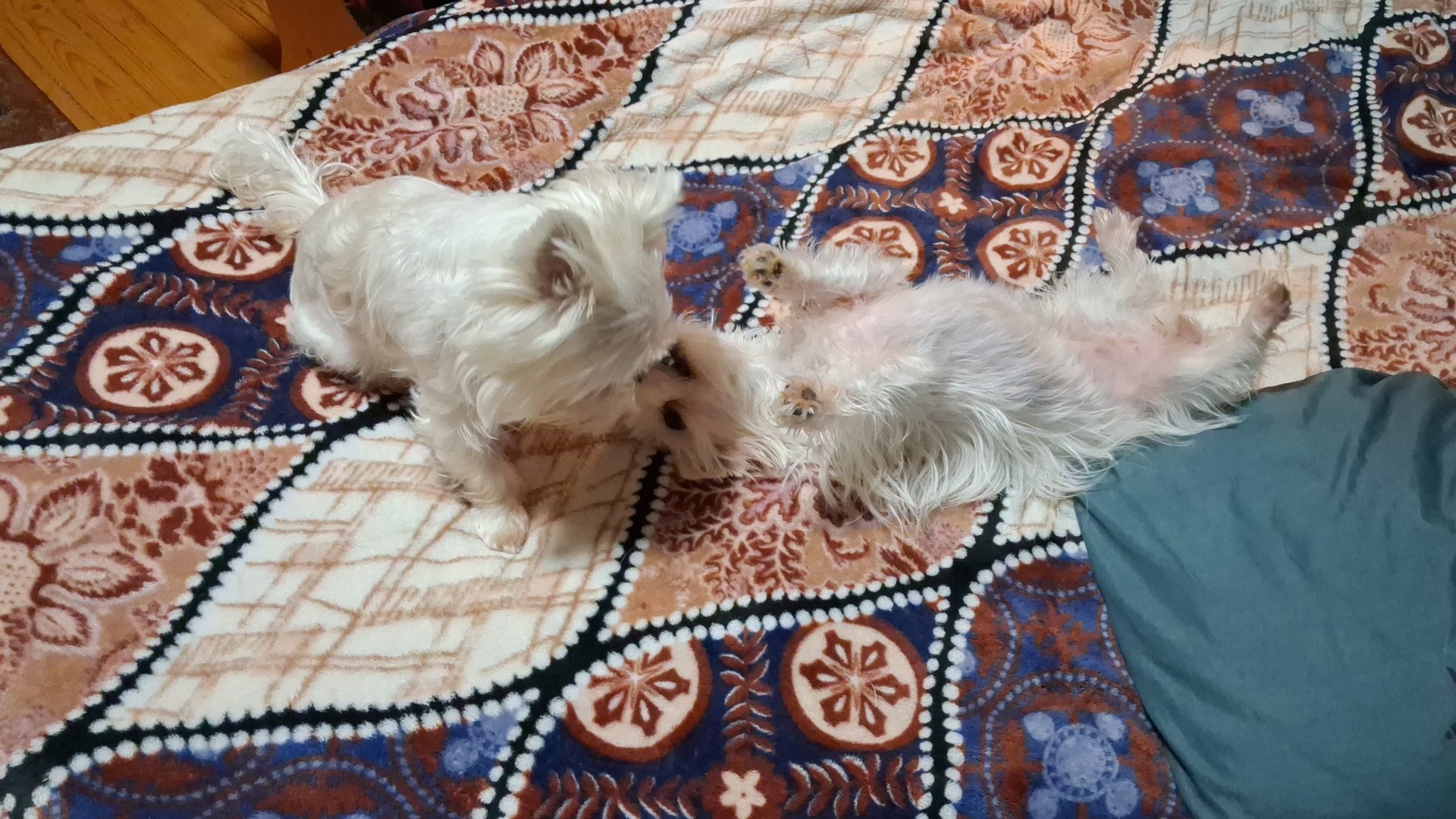 Вот так и живем.... смотреть онлайн