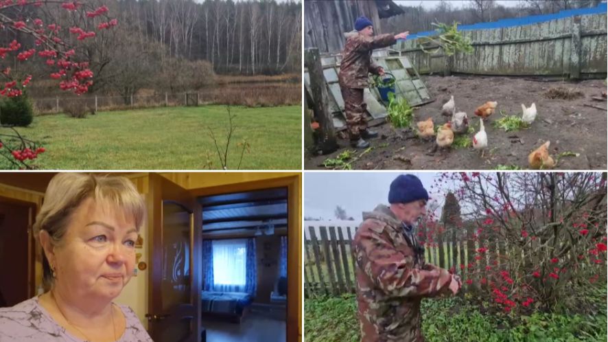 ЛЁШИК ХОДИЛ В МАГАЗИН, СОБРАЛИ КАЛИНУ, НАДЕРГАЛА КУРОЧКАМ ТРАВКИ. смотреть онлайн