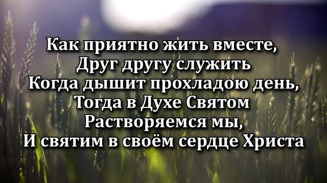 Всех, кого предузнал (Cover) смотреть онлайн