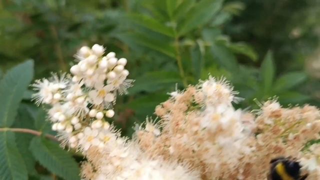 ВСПОМНИМ 🌞🌴🏄🎇ЛЕТО. **ПЕСНИ НА КАССЕТЕ** смотреть онлайн