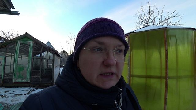 Как помочь птицам выжить зимой смотреть онлайн