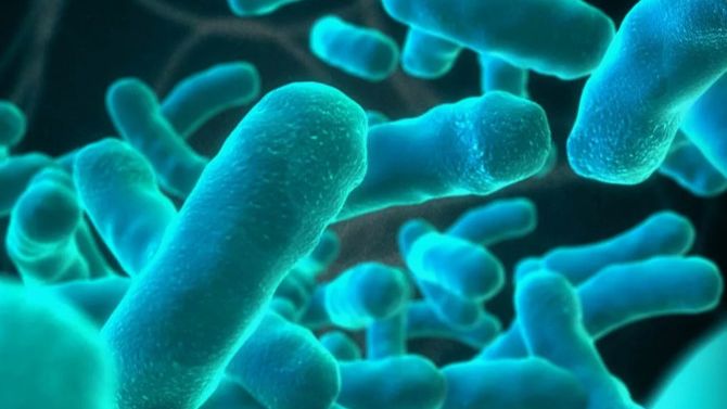 Листериоз при беременности смотреть онлайн