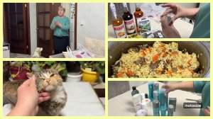 Со второго раза получилось. Обзор ПОКУПОК. Пытаемся ПОДРУЖИТЬСЯ 🐈⬛🐕