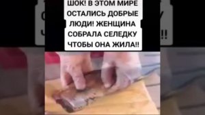 Спасение селедки