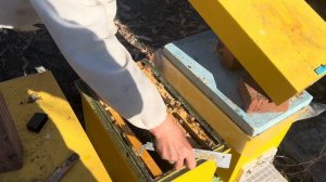 Спасаем отводки