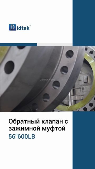 56'' 600LB Обратный клапан с зажимной муфтой-DIDTEK