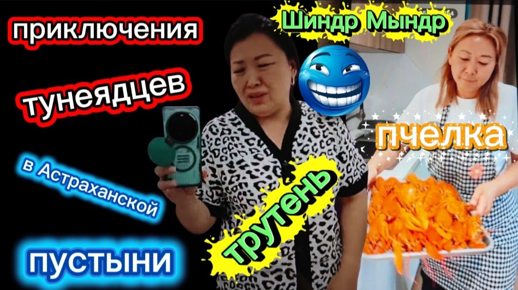 Шиндр Мындр в гости к сестре за новым контентом Лезет во все углы Трутень и Пчёлка смотреть онлайн