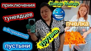 Шиндр Мындр в гости к сестре за новым контентом Лезет во все углы Трутень и Пчёлка