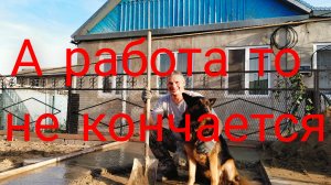 А погода то радует!Работы непочатый край.
