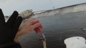 На креветку тоже отлично!