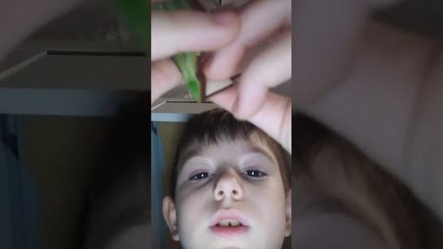 Моя 2 трансляция смотреть онлайн