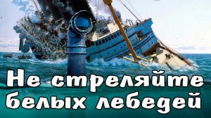 Не стреляйте белых лебедей