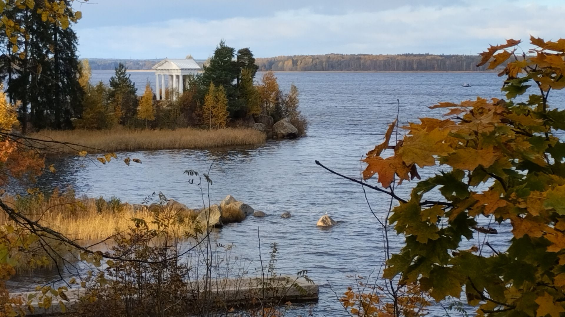 Парк Монрепо_3 часть смотреть онлайн