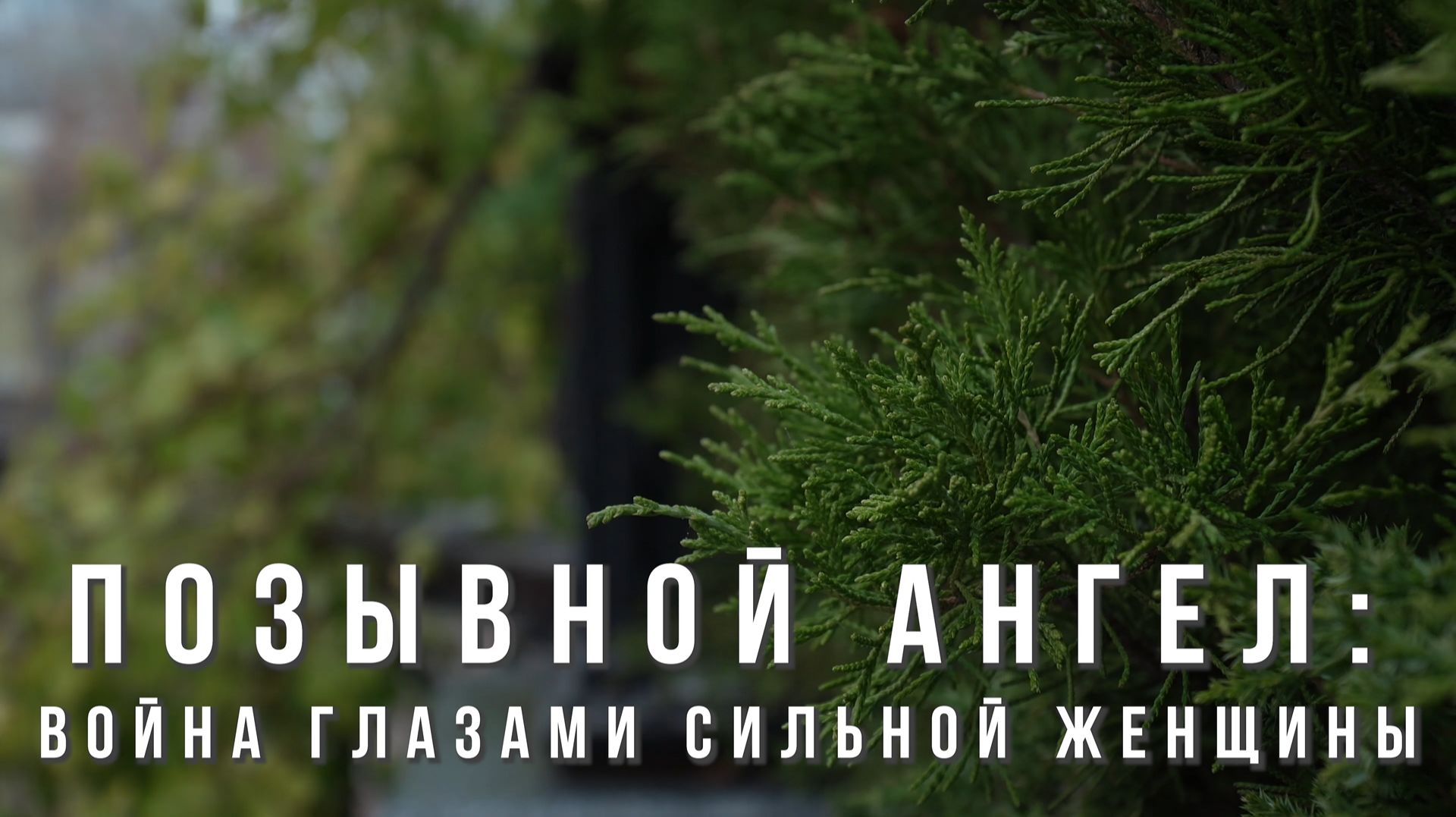 Позывной «Ангел»: Война глазами сильной женщины смотреть онлайн