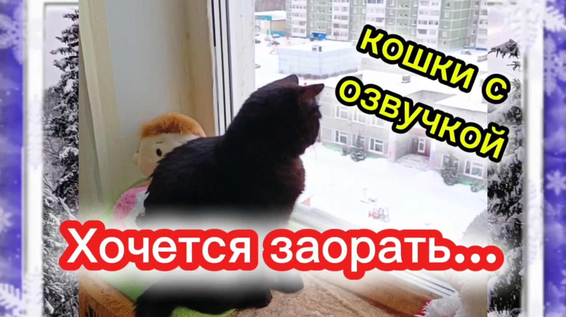 Кошки с озвучкой. смотреть онлайн