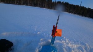 Рыбалочка 22.11.2025 на кедровой IKUDZO  в теме!