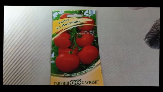 Томат «Интуиция F1» — кистевой гибрид для надежного урожая смотреть онлайн