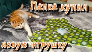 Папка купил новую игрушку