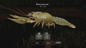 РР4 Вьюнок. Рак речной.