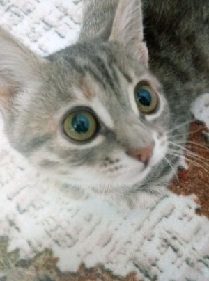 Маша Вершинина красится