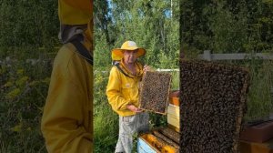 Блеск и нищета карники, сравнение.