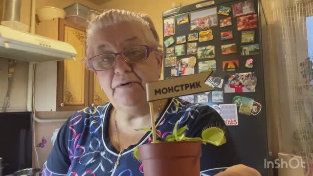 #1-22.11.25 🌹ПРЕЗЕНТ ОТ АЛУСИ 🌹ПОКРАСИЛАСЬ ТОНИКОМ 🌹 смотреть онлайн