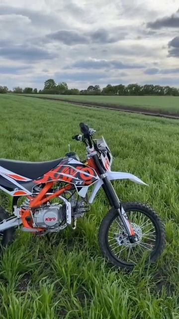 KAYO 140TT #shorts #pitbike #питбайк #природа смотреть онлайн