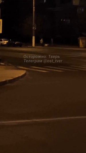 В Твери аульный шерстяной малолетка обдолбался харамными веществами и творил дичь на улице.