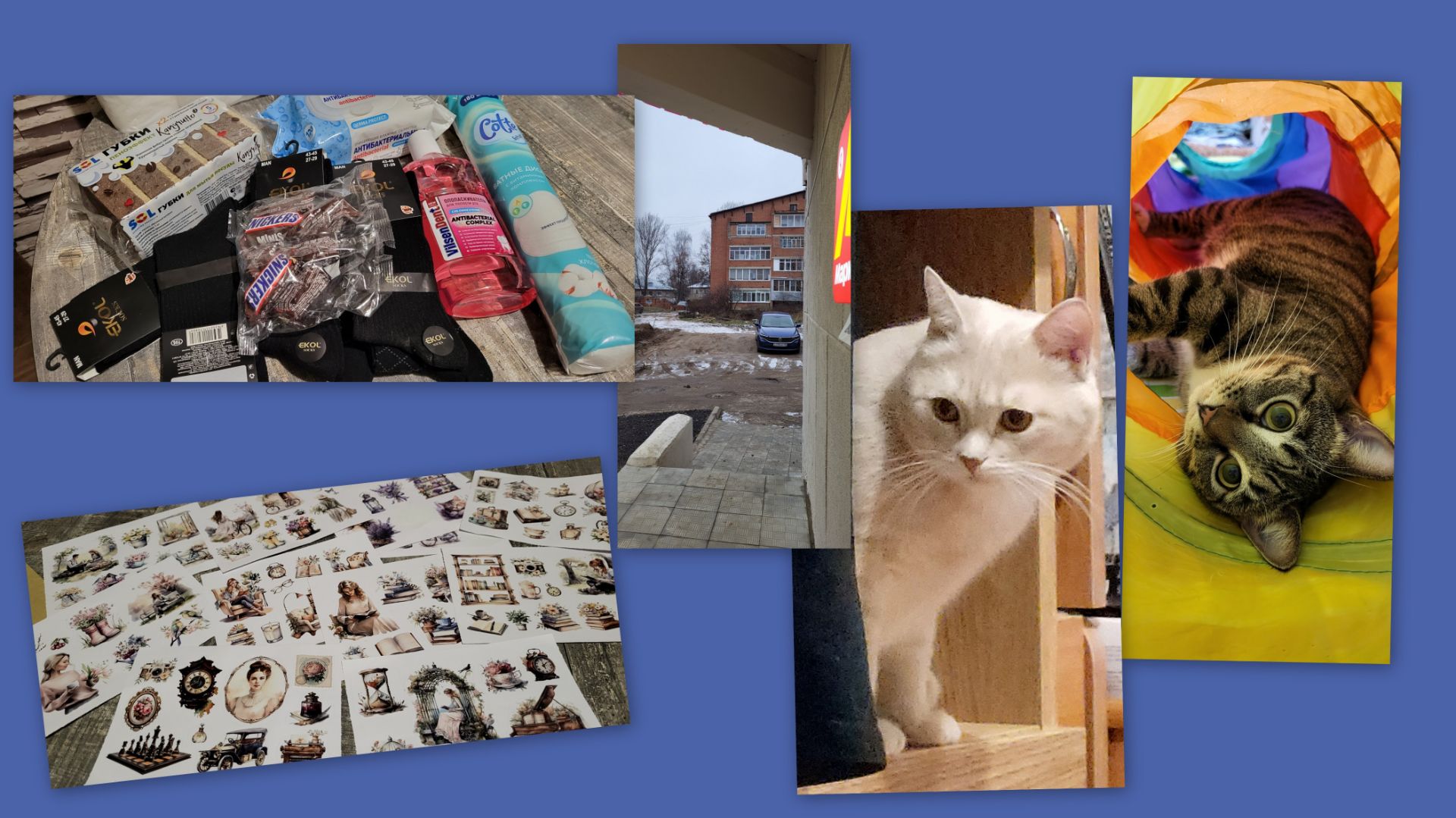 ВЛОГ: ПОКУПКИ, БЫТ, НЕБОЛЬШОЕ ПРИКЛЮЧЕНИЕ)) смотреть онлайн