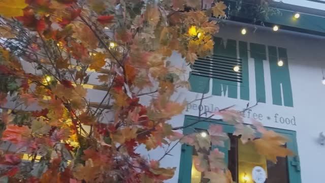 Ты один И я одна. Улица Сурикова .Проспект Мира .Красноярск смотреть онлайн