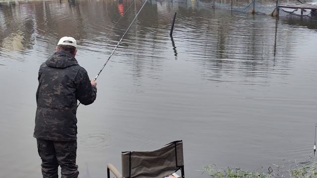 Светлые Горы Форель4 22.11.2025г. смотреть онлайн