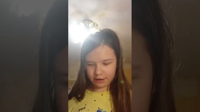 обзор пенала