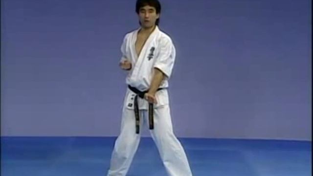 Ката - Теншо / Kata - Tensho.mp4 смотреть онлайн