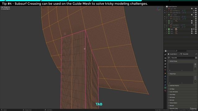 5. Full Guide to the Guide Mesh - Tips and Tricks
