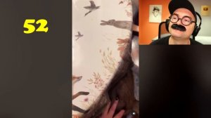 100 САМЫХ СМЕШНЫХ ВИДЕО (7 Выпуск)