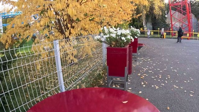 СТРОПТИВАЯ КЕНИЙКА В РОССИИ из ТРУЩОБ на ДИВО ОСТРОВ смотреть онлайн